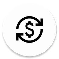 NanoLedger 图标