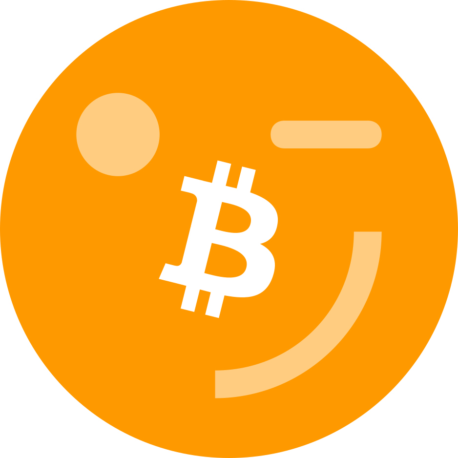 PayNoWay icon